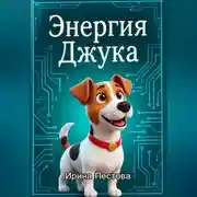 Постер книги Энергия Джука