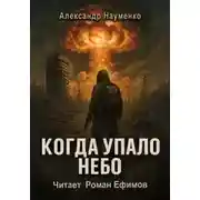 Постер книги Когда упало небо