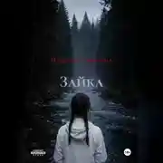 Постер книги Зайка