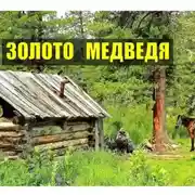 Постер книги Золото медведя ТАЙГА