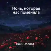 Постер книги Ночь, которая нас поменяла