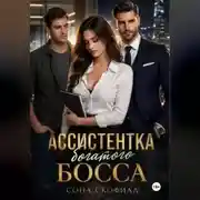 Постер книги Ассистентка богатого босса