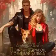 Постер книги Позывной «Дракон», позывной «Ведьма»