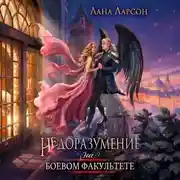 Постер книги Недоразумение на боевом факультете. Книга 1