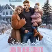 Постер книги Новогоднее счастье. Два по цене одного