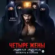 Постер книги Четыре жены моего мужа. Выжить в гареме