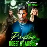 Постер книги Развод. Побег от Альфы