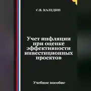 Постер книги Учет инфляции при оценке эффективности инвестиционных проектов
