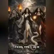 Постер книги Тень трёх лун