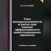 Постер книги Учет неопределенности и риска при оценке эффективности инвестиционных проектов