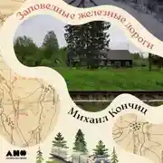 Постер книги Заповедные железные дороги