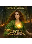 Виктор Молотов - Друид. Том 2. Пламя и кровь