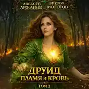Постер книги Друид. Том 2. Пламя и кровь