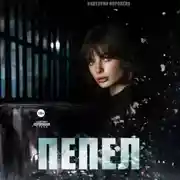 Постер книги Пепел