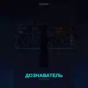 Постер книги Дознаватель