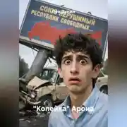 Постер книги "Копейка" Арона