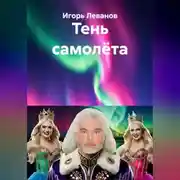 Постер книги Тень самолёта