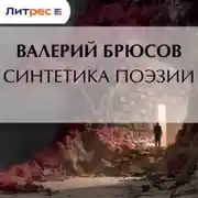Постер книги Синтетика поэзии
