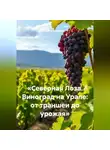 Война Владимир - «Северная Лоза. Виноград на Урале: от траншеи до урожая»
