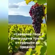 Постер книги «Северная Лоза. Виноград на Урале: от траншеи до урожая»