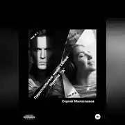 Постер книги Параллельные миры семьи Ромича.А.