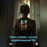 Постер книги Один снимок, тысяча прикосновений 18+
