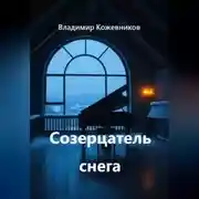 Постер книги Созерцатель снега