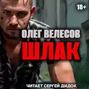 Постер книги ШЛАК. Книга первая