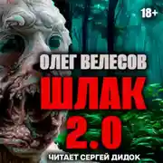 Постер книги ШЛАК. Книга вторая