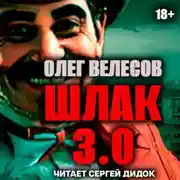 Постер книги ШЛАК. Книга третья