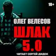 Постер книги ШЛАК. Книга пятая