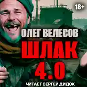 Постер книги ШЛАК. Книга четвертая