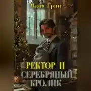 Постер книги Бонус к Артефактору XXL. Ректор и серебряный кролик