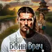 Постер книги Воин-Врач VI