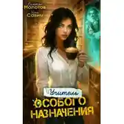 Постер книги Учитель Особого Назначения. Том 6