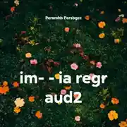 Постер книги im- – ia regr aud2