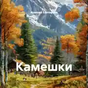 Постер книги Камешки