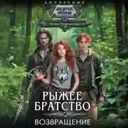 Постер книги Возвращение