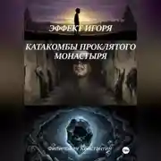 Постер книги Эффект Игоря. Катакомбы проклятого монастыря