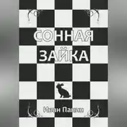 Постер книги Сонная зайка