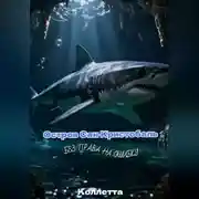 Постер книги Остров Сан-Кристобаль. Без права на ошибку