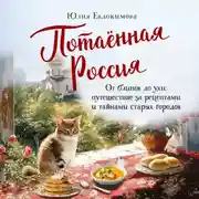 Постер книги Потаённая Россия. От блинов до ухи: путешествие за рецептами и тайнами старых городов