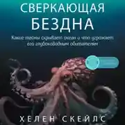 Постер книги Сверкающая бездна. Какие тайны скрывает океан и что угрожает его глубоководным обитателям