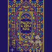 Постер книги Тысяча и одна ночь