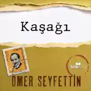 Постер книги Ömer Seyfettin Öyküleri - Kaşağı