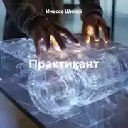Постер книги Практикант