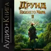 Постер книги Друид Нижнего мира. Том 2