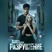 Постер книги Разрушение