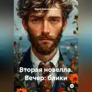 Постер книги Вторая новелла. Вечер: блики