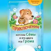 Постер книги Приключения котёнка Сёмы и его друга пса Грома